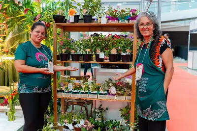 galeria: FLOR PARÁ - CHOCOLAT AMAZÔNIA
