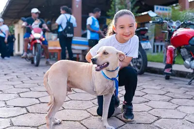 galeria: CÃO-MINHADA - MURININ